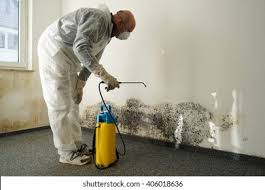 Best Mold Odor Removal Services  in USA